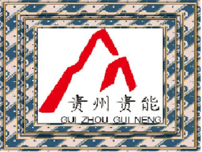 贵州贵能投资股份有限公司